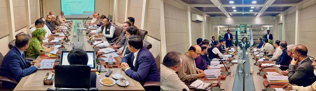وزیر توانائی سید ناصر حسین شاہ کی زیر صدارت انرجی ڈپارٹمنٹ کے جاری ترقیاتی منصوبوں کا اعلیٰ سطحی جائزہ اجلاس۔ محکمہ توانائی کی تمام جاری ترقیاتی اسکیموں کو مقررہ وقت پر مکمل کیا جائے، سید ناصر حسین شاہ