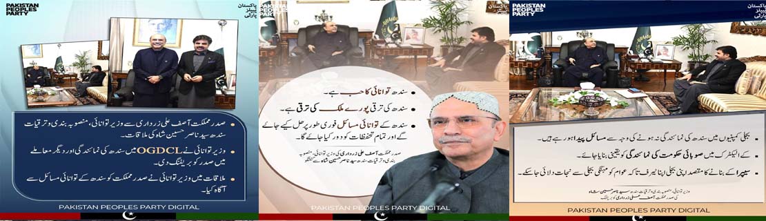 صدر مملکت آصف علی زرداری سے وزیر توانائی و منصوبہ بندی سندھ سید ناصر حسین شاہ کی ملاقات